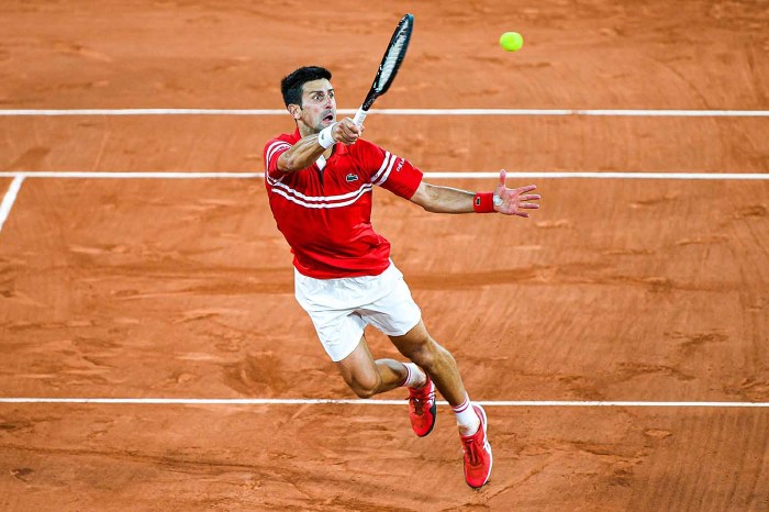 Novak Djokovic - likely to play a full part of clay season