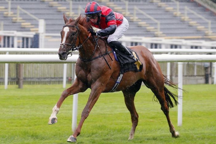 Nuits St Georges winning at Newmarket in 2020