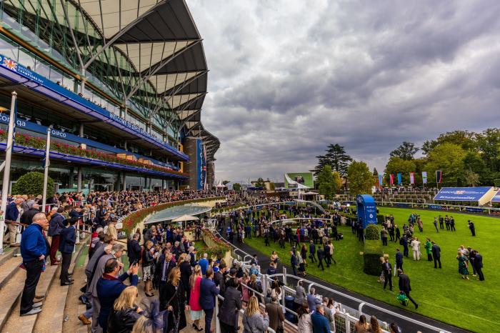 Ascot’s meeting on Friday has been abandoned
