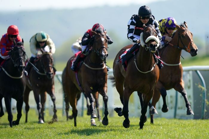 Monday's Redcar racing tips: Expect Primrose to blossom