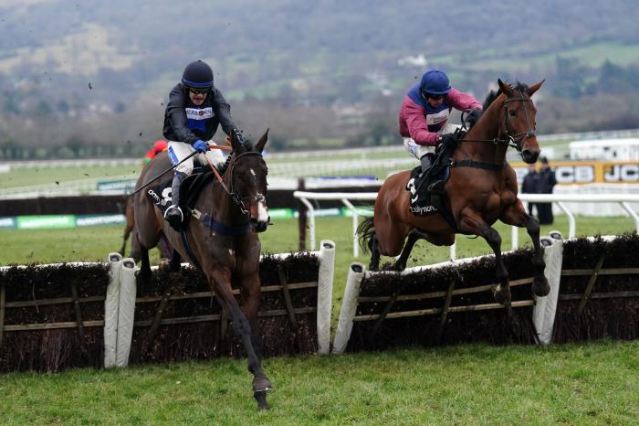 Rock My Way ridden by Tom Scudamore (left) before winning the Ballymore Novices' Hurdle - Jan 2023