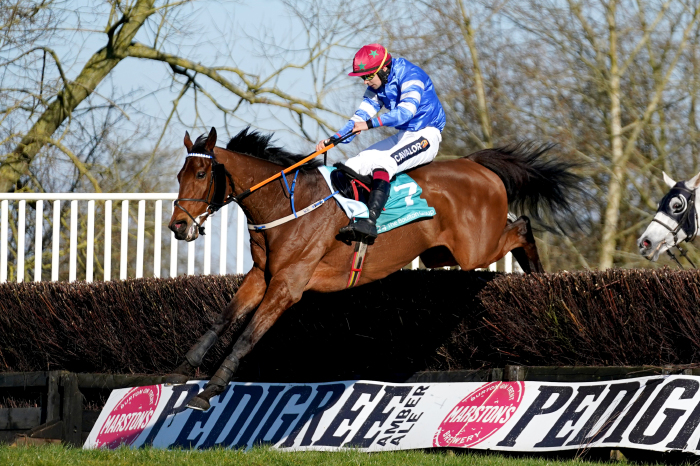 Scream Colours winning the 2022 Midlands Grand National at Uttoxeter