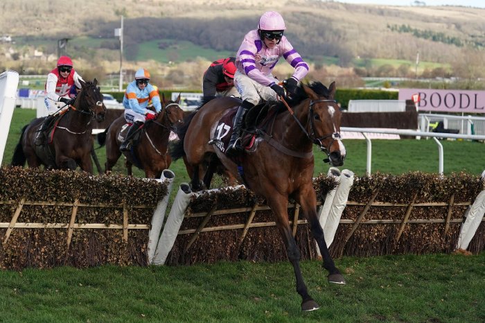 Stay Away Fay ridden by Harry Cobden on their way to winning the Albert Bartlett Novices' Hurdle