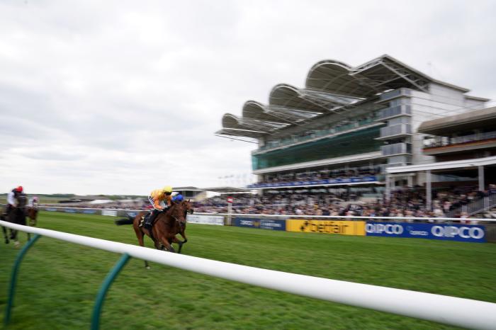 Friday's Newmarket racing tips: Polly Pot, Sacred and Crystallium have a good chance