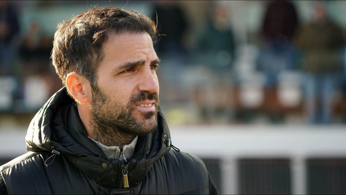 Cesc Fabregas: Arsenal's potential to dominate English football looms