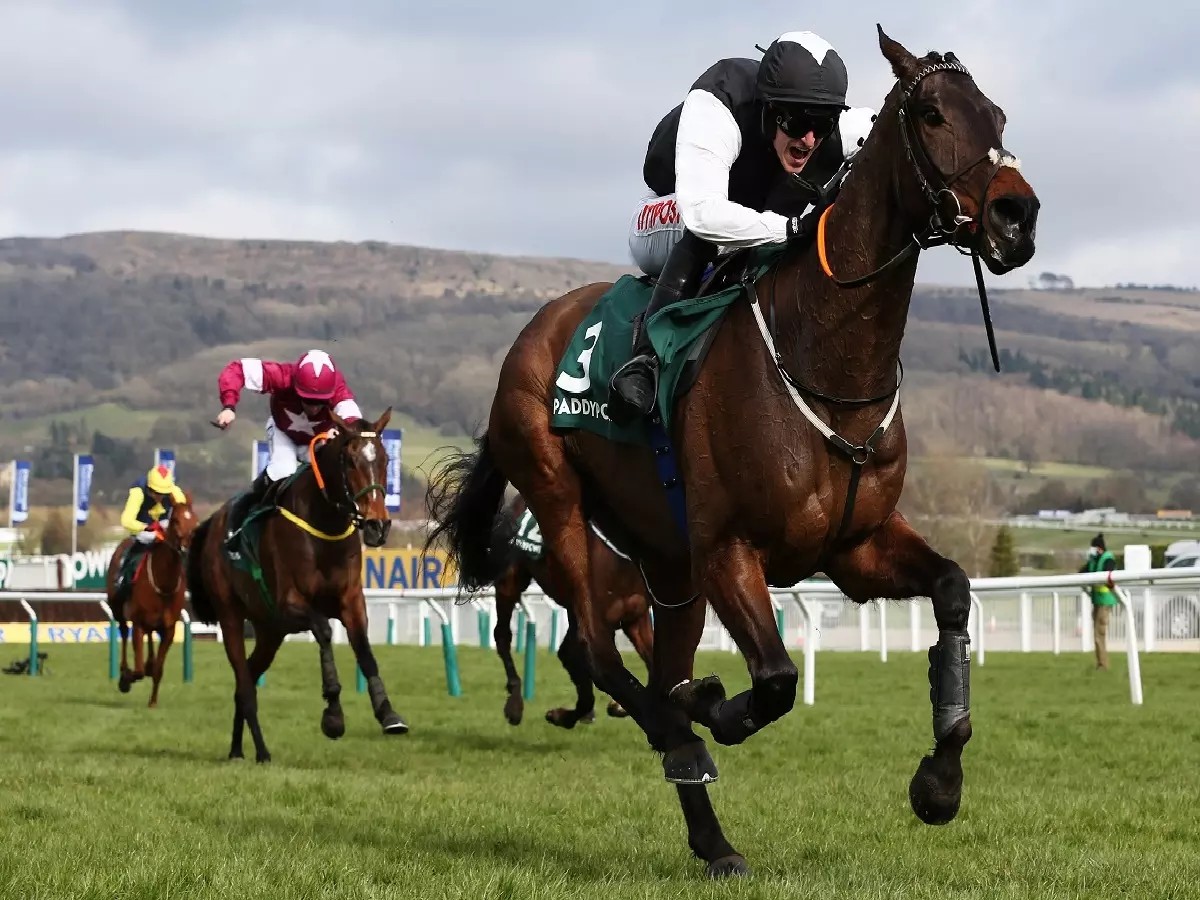 Certain Runner Flooring Porter's path to Grand National still up in air