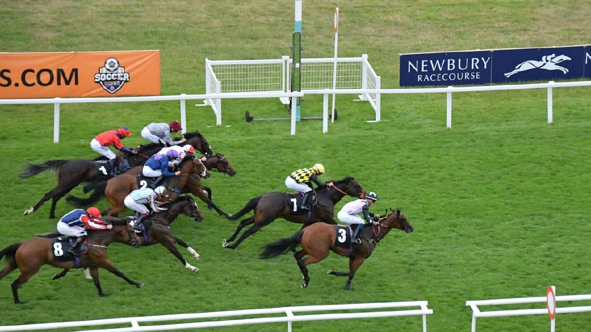 Al Aasy destroys opposition to claim Geoffrey Freer Stakes glory