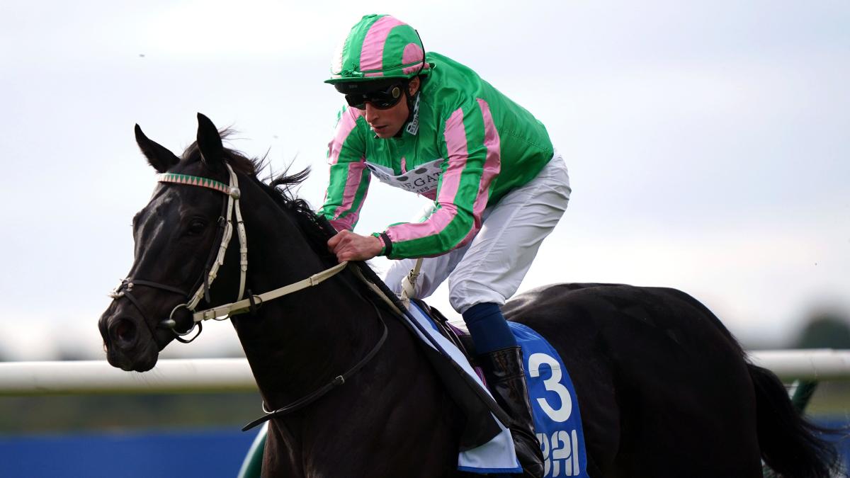 Pogo and Garrus lining up for Turf Sprint challenge in Riyadh