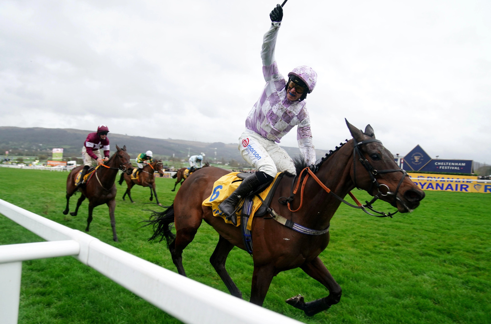Cheltenham Gold Cup 2025 runners, favourites, and key insights