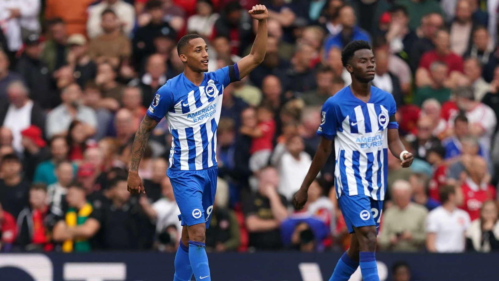 Brighton vs Bournemouth tips: Back Seagulls to bounce back from Euro disappointment