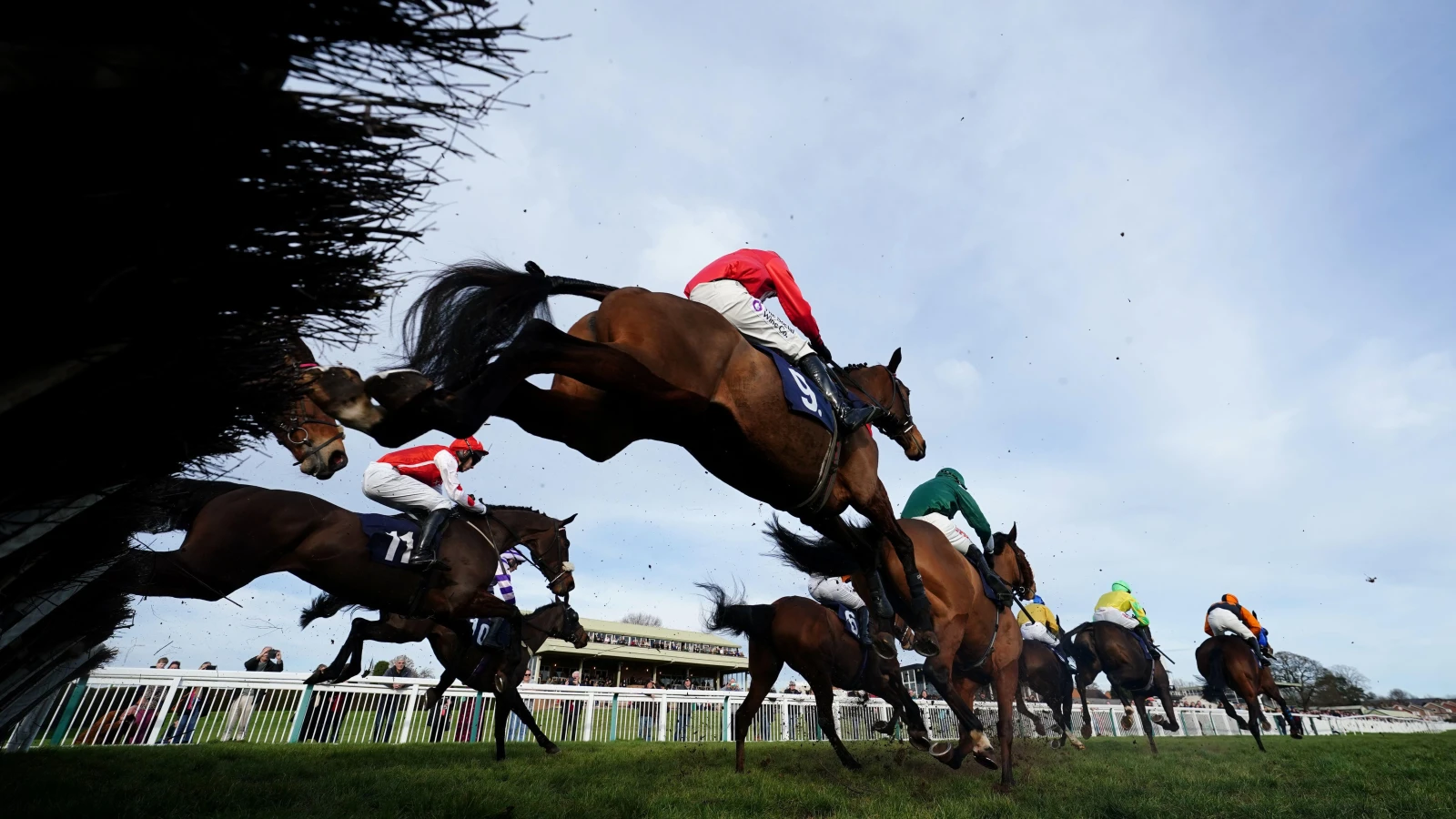 Hereford afternoon racing tips: Best bets for Tuesday, November 21