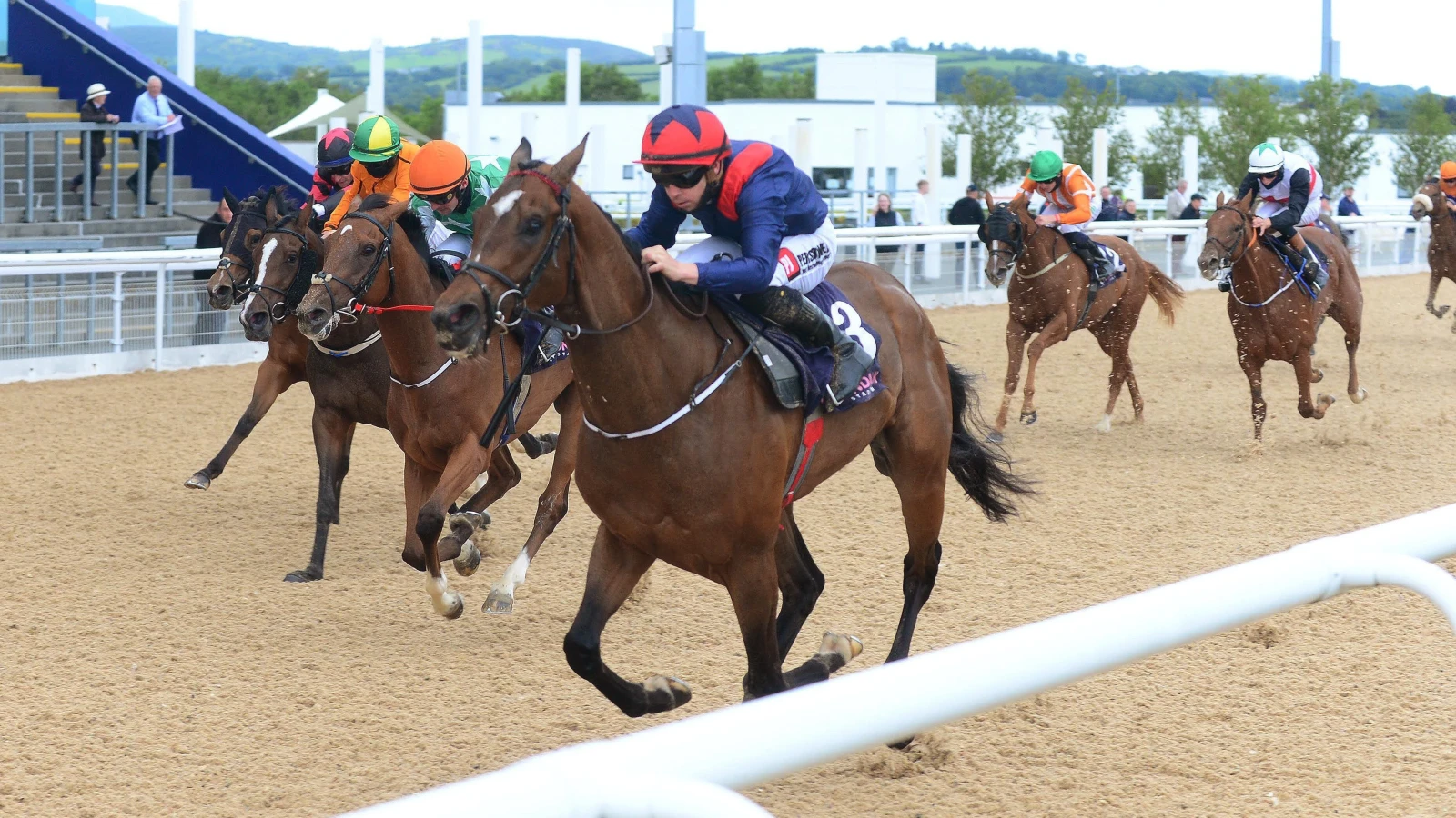 Dundalk evening racing tips Best bets for Friday, November 10