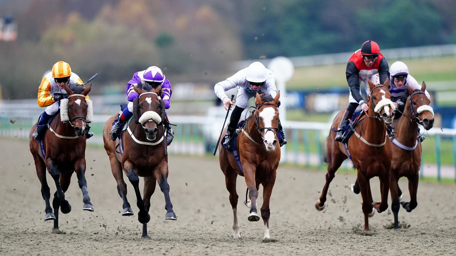 Lingfield racing tips Best bets for Monday, January 15