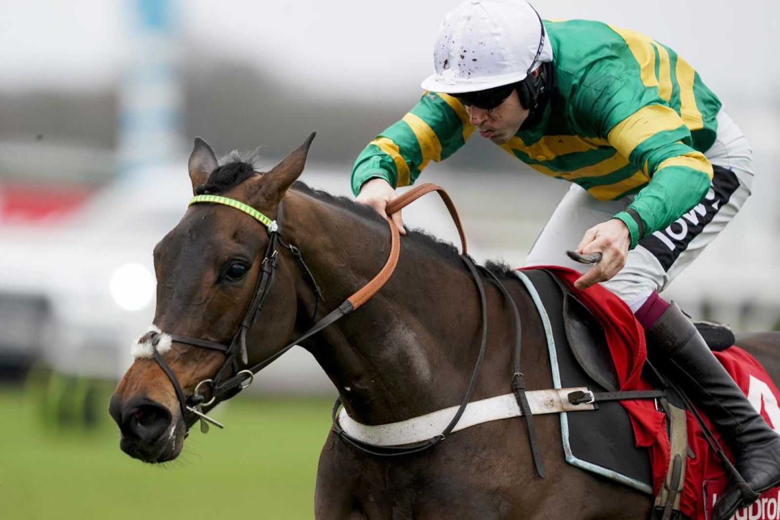 Cheltenham Festival 2023 Epatante and Theatre Glory set to challenge