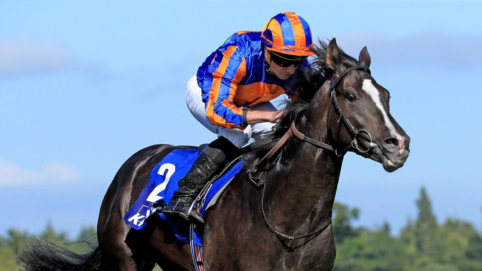 Auguste Rodin could be set for Irish Derby challenge