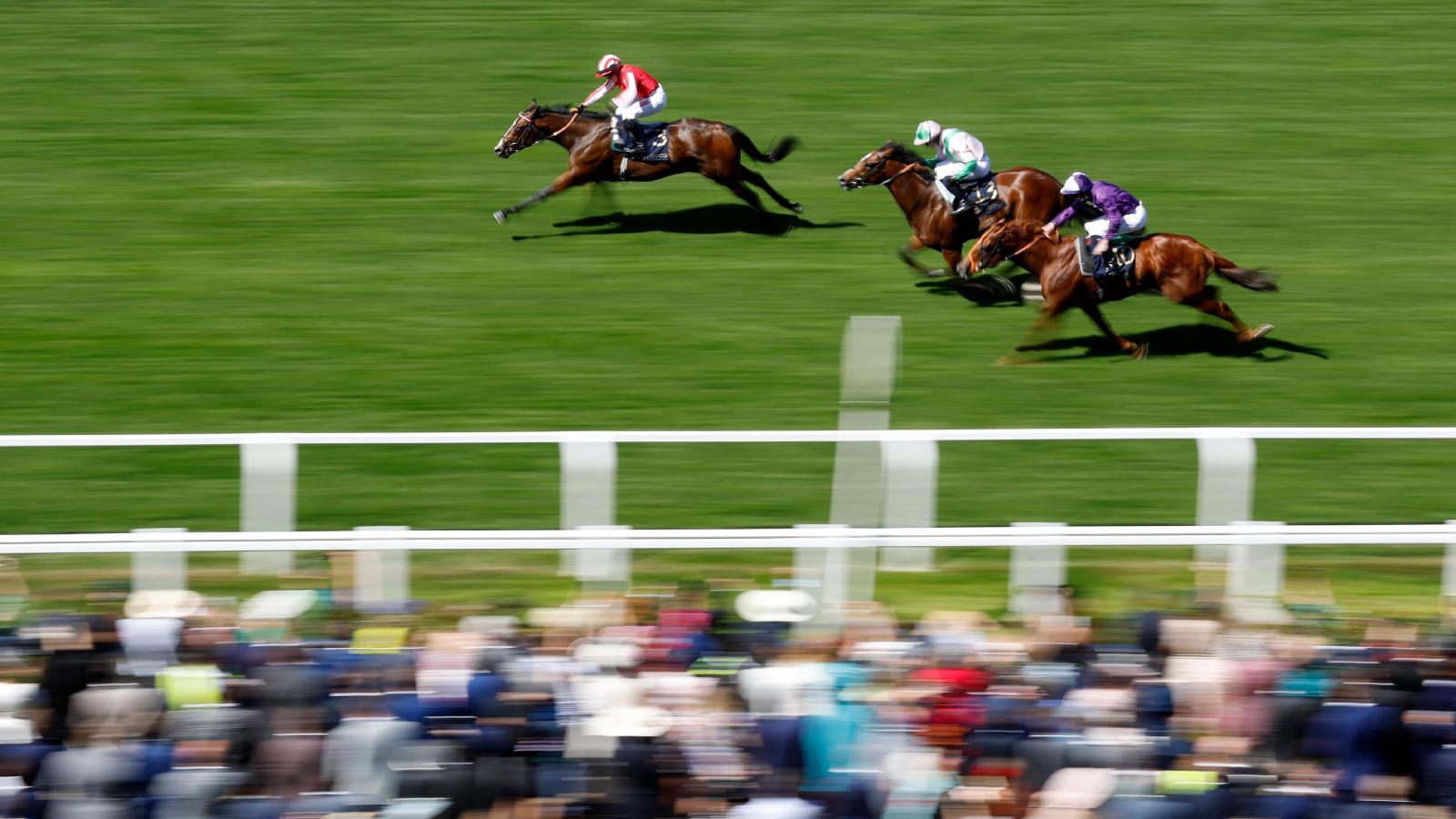 Royal Ascot security plans being assessed after disruption to The Derby