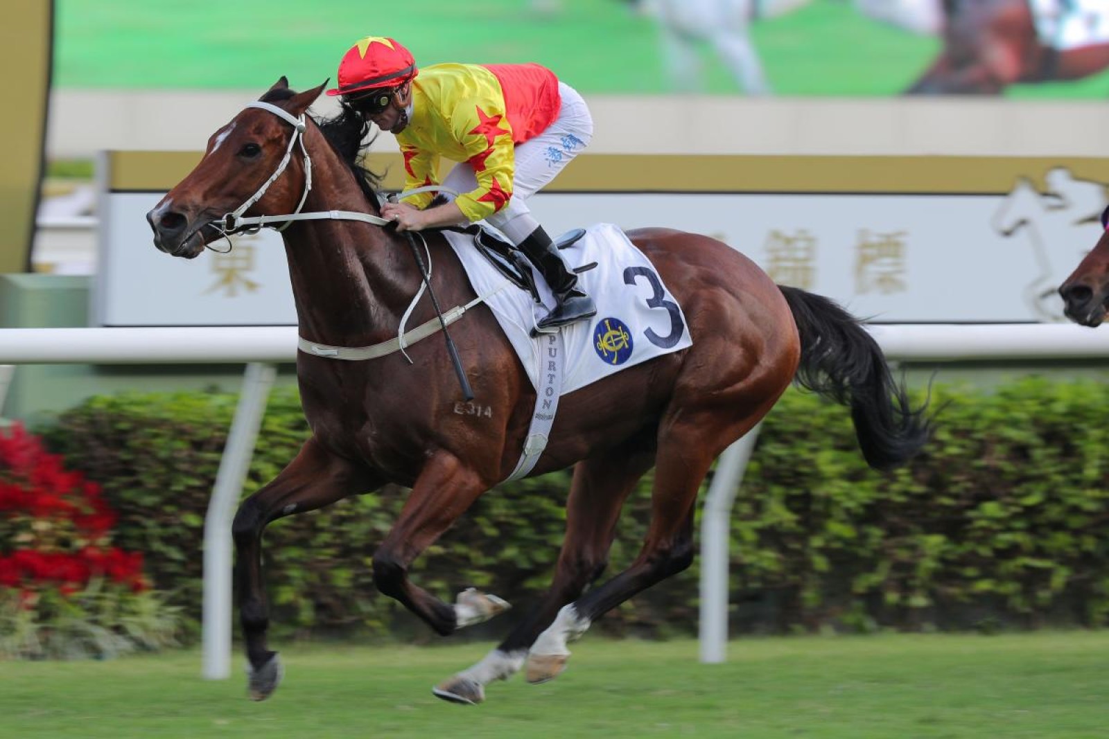 California Spangle spoils Golden Sixty's hattrick challenge