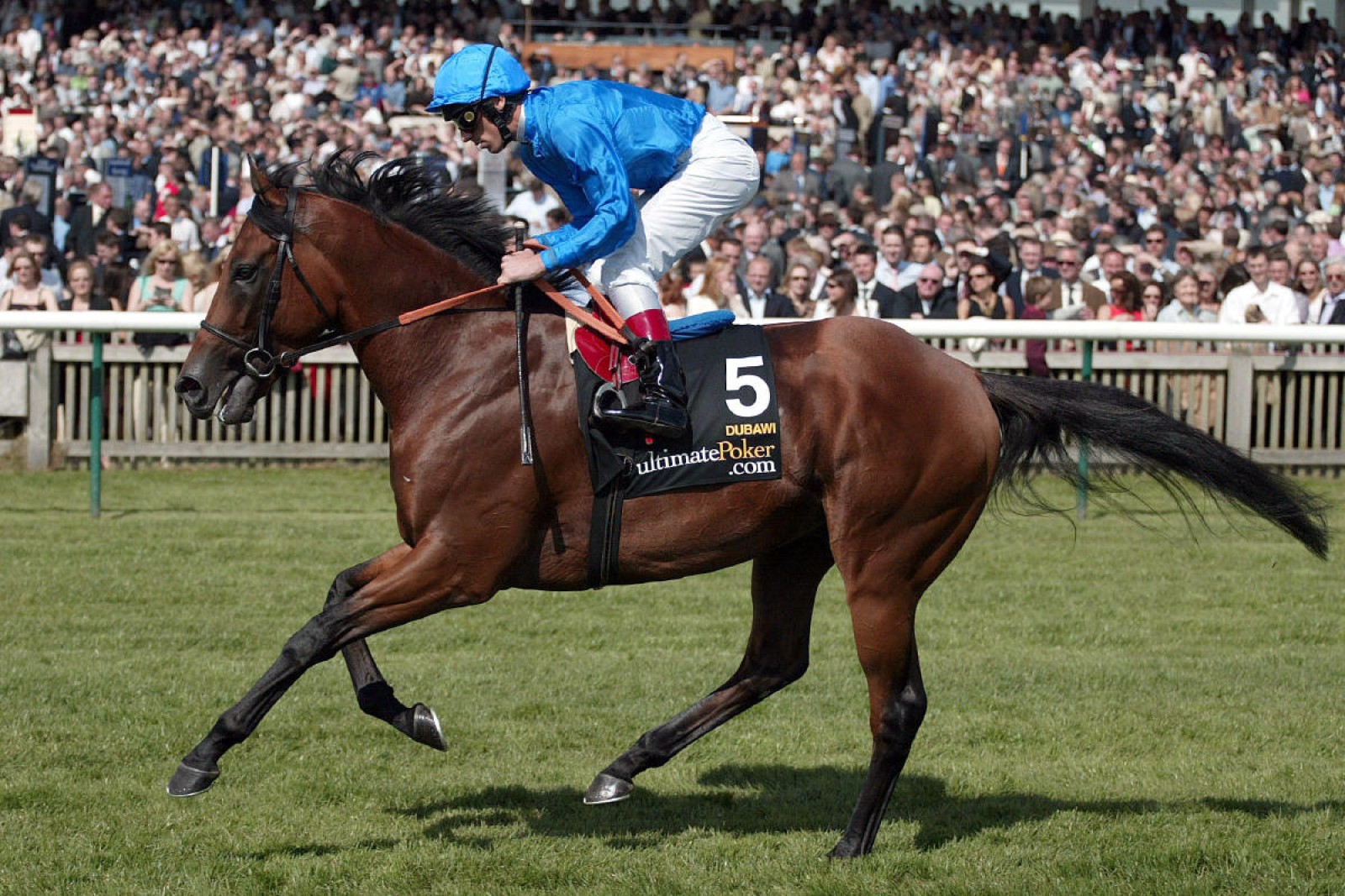 Large stud fees increase for Dubawi and Frankel