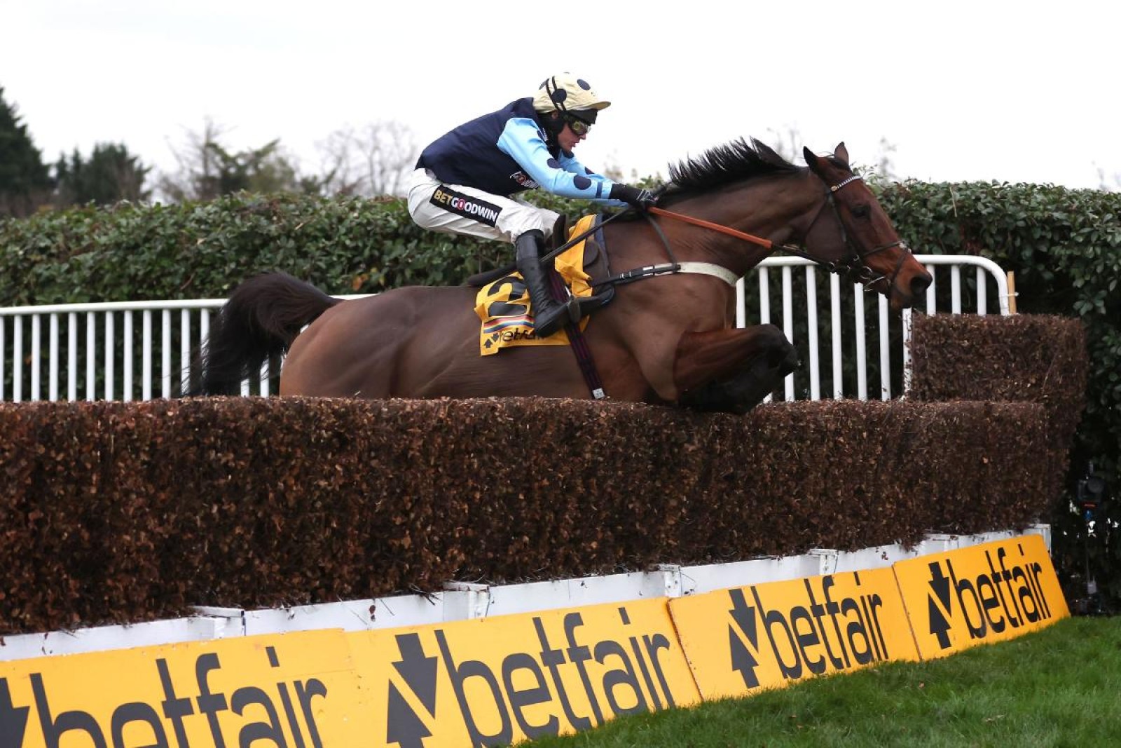 Edwardstone puts on scintillating show to claim Tingle Creek triumph at