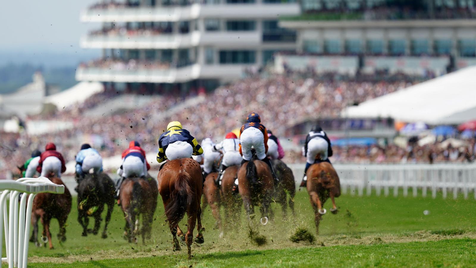 The Epsom Derby Festival 2023 guide: When is it, times, big races, top horses, trainers and jockeys