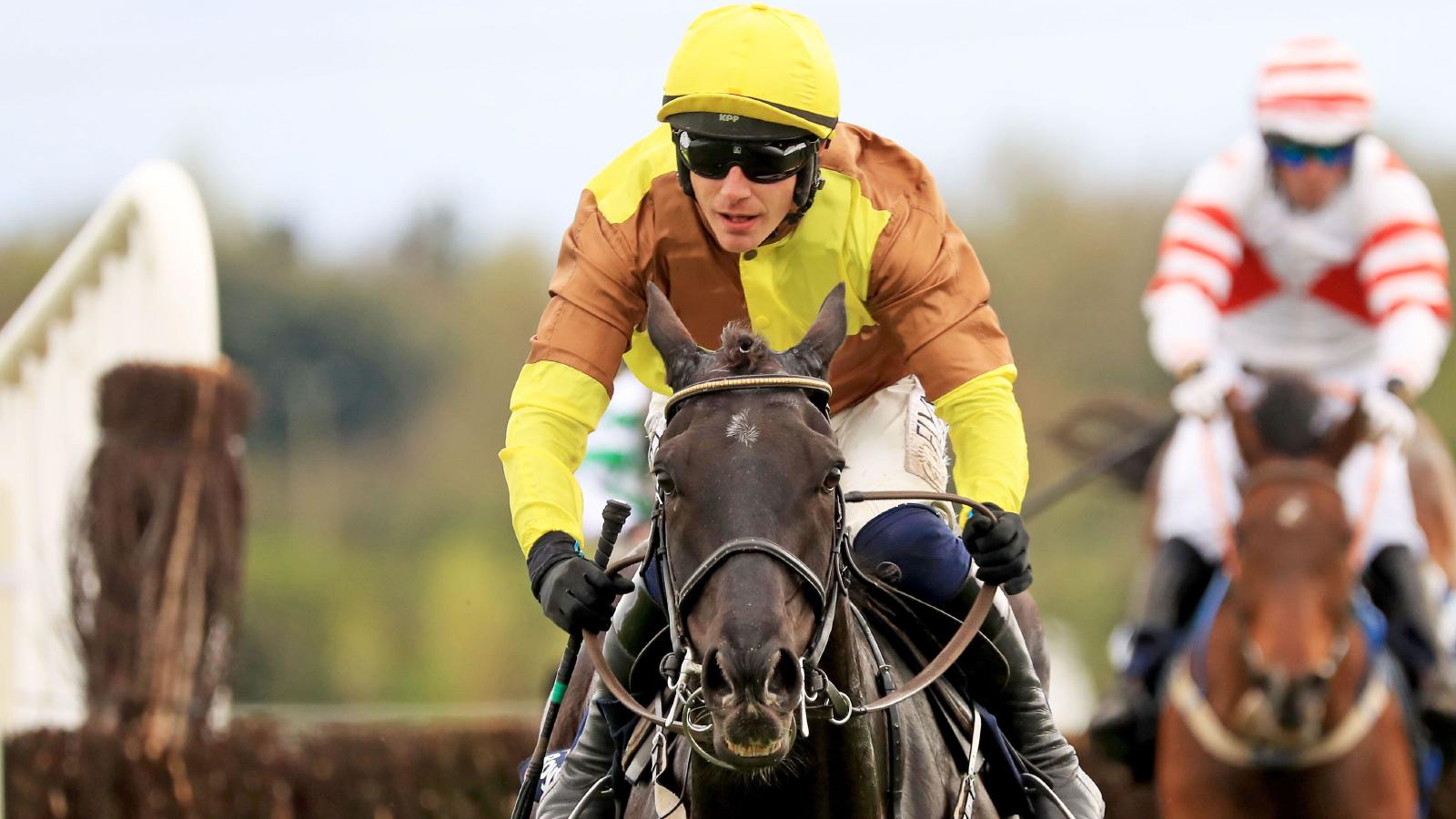 Galopin Des Champs crowned the leading jumps horse