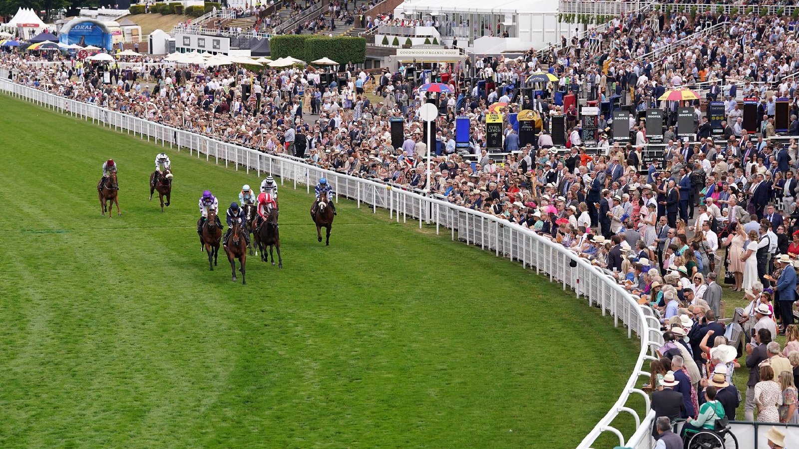 Friday evening racing tips for Goodwood, Fontwell, Aintree, Fairyhouse and Cork