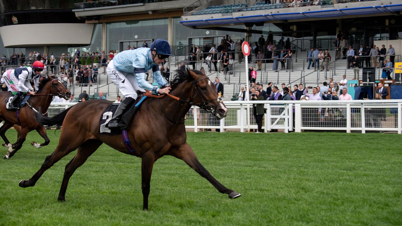 Charlie Fellowes has high hopes for rising star Atrium at the Lincoln