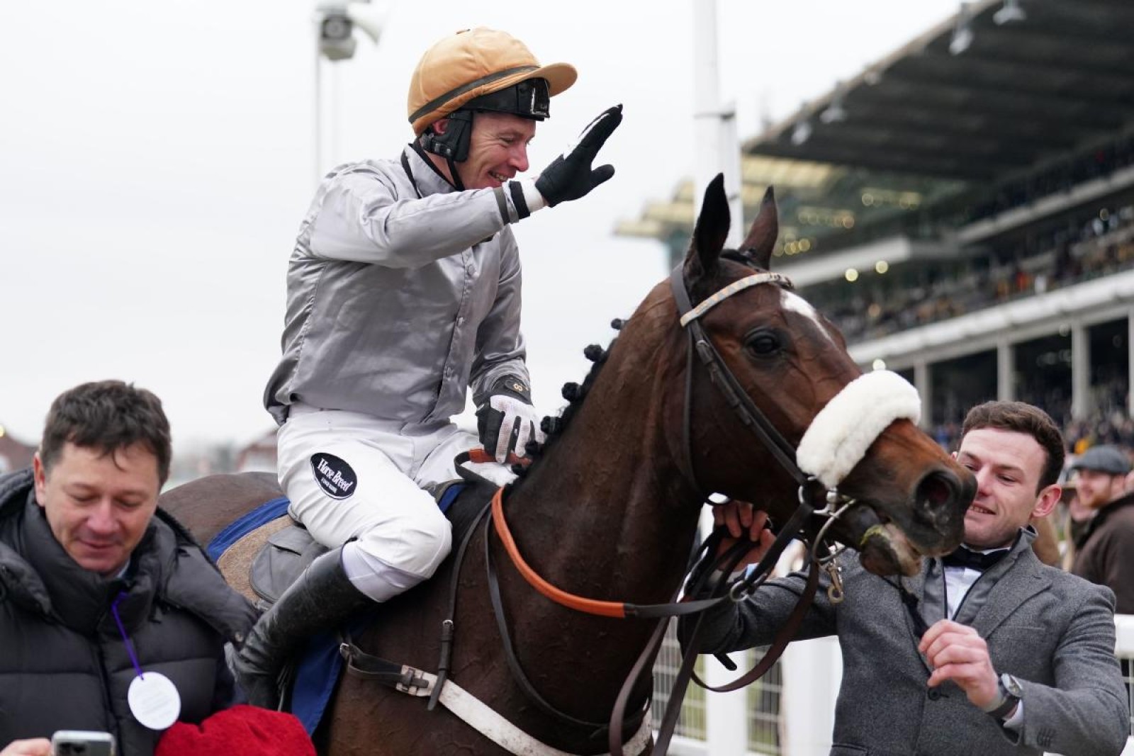 Cleeve Hurdle review and Stayers Hurdle implications Andy Gibson