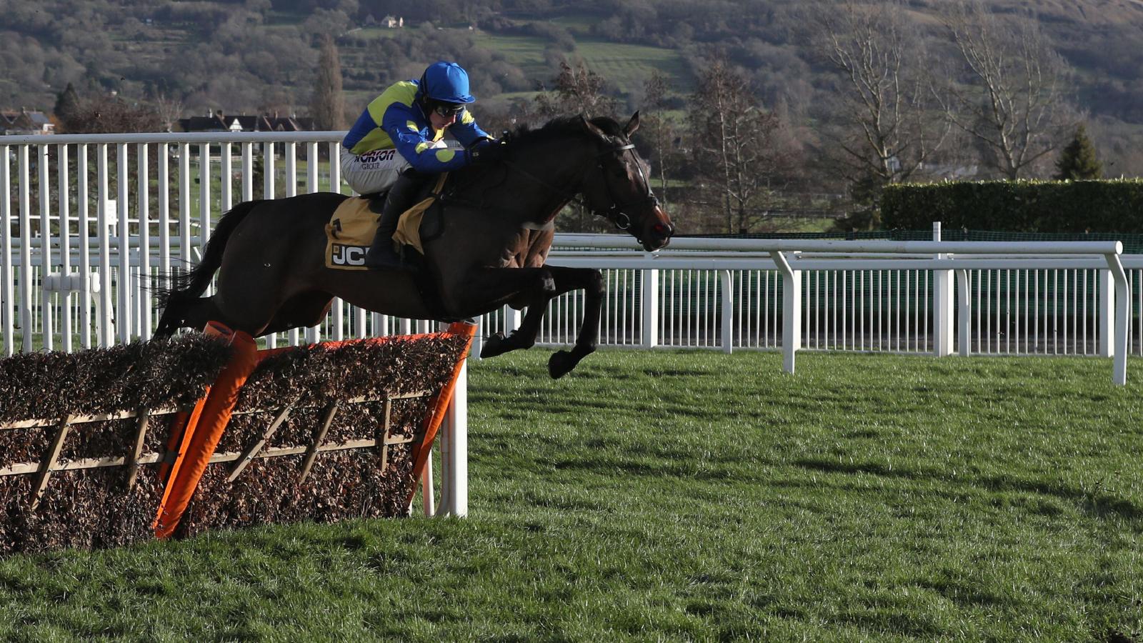 Third-time lucky Langer Dan in Coral Cup at Cheltenham |