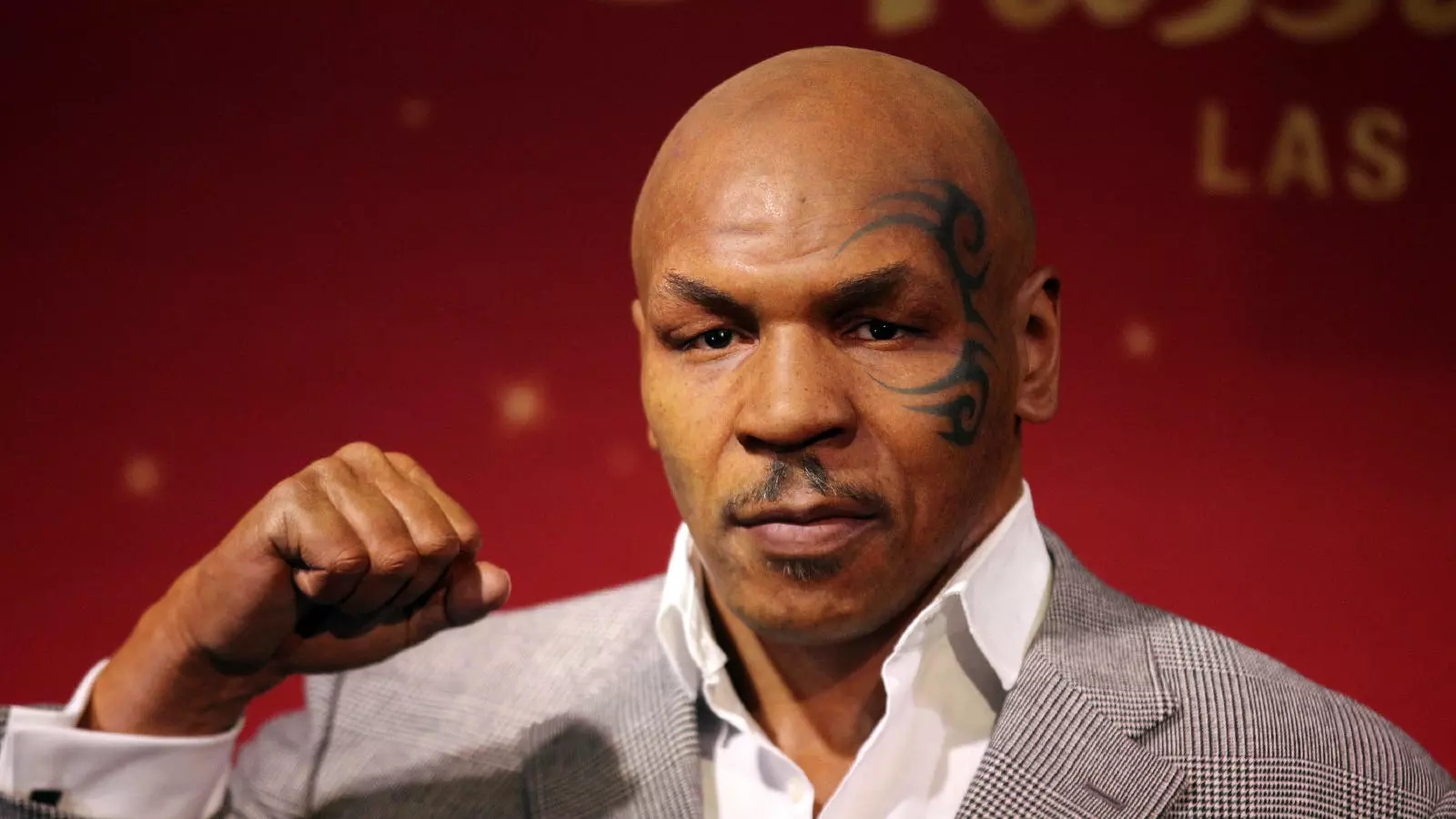 Mike Tyson leaves passenger battered and bloodied on flight to Florida