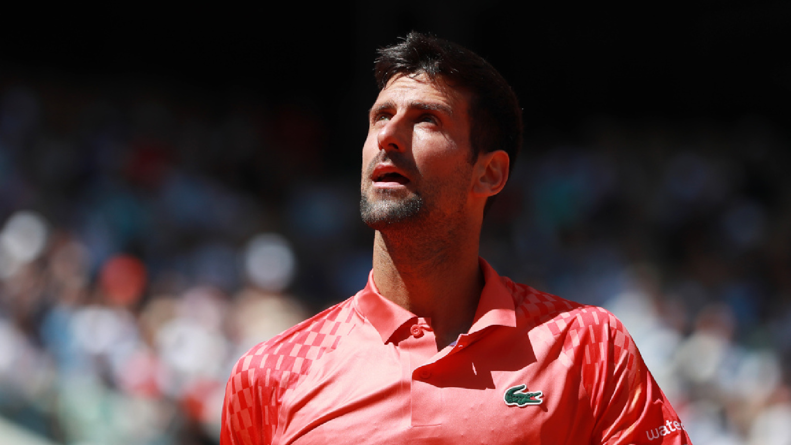 French Open: Novak Djokovic into another grand slam final after seeing ...