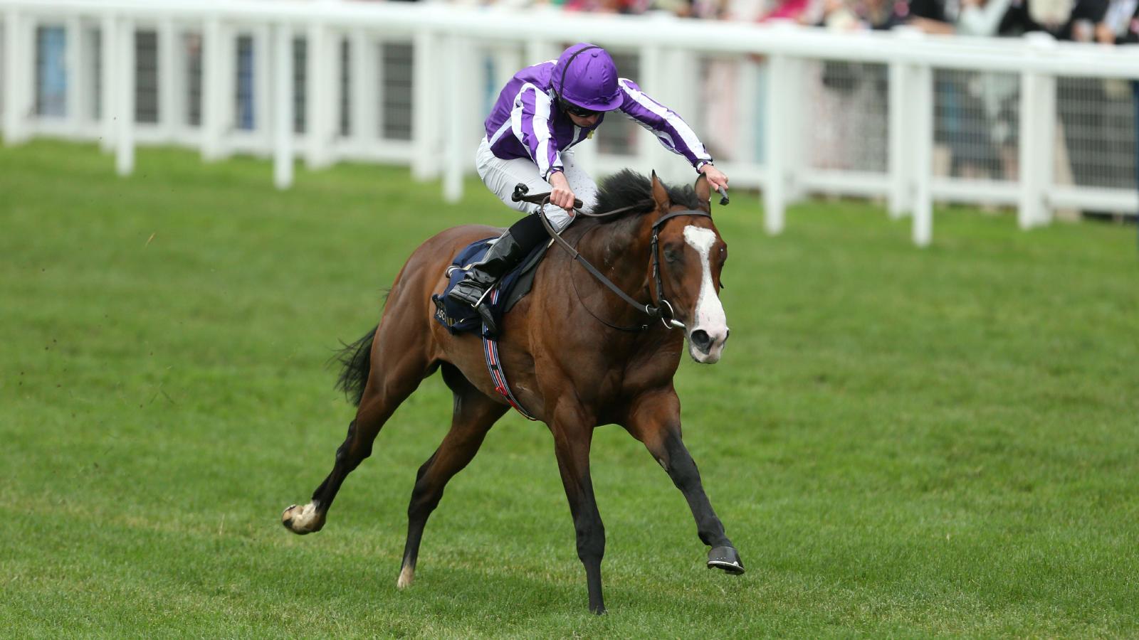 Point Lonsdale grinds out victory in Huxley Stakes at Chester