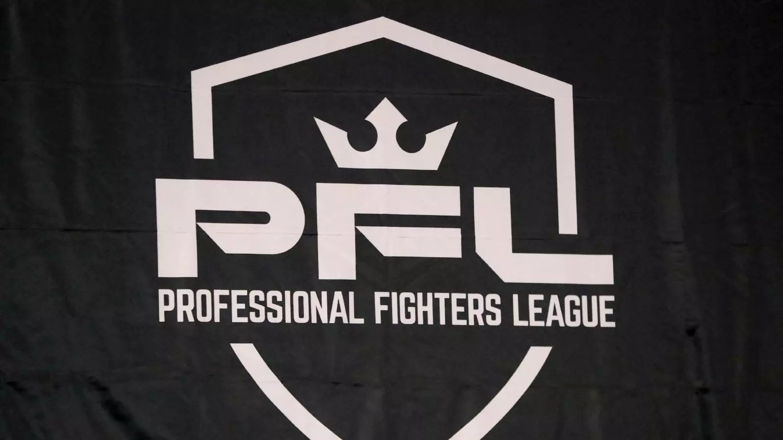 Professional Fighters League sets sights on Qatar MMA fights as part of  MENA expansion - Doha News