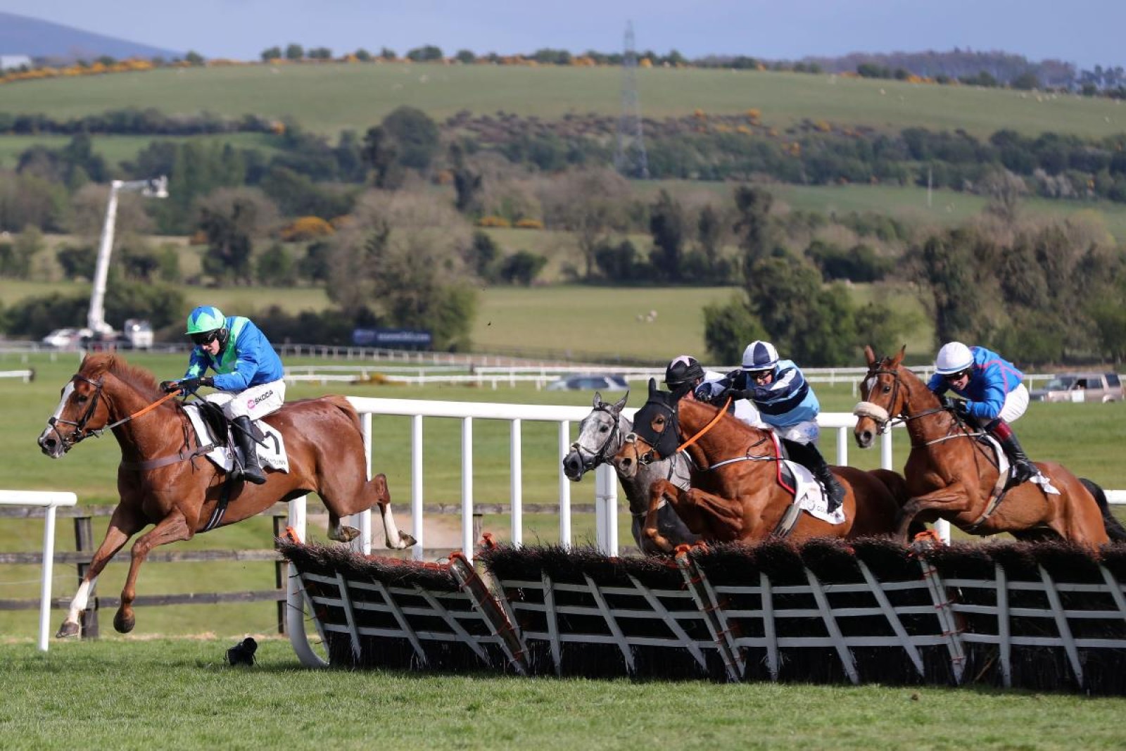 Punchestown racing tips Mares’ Champion Hurdle Love Envoi the one to