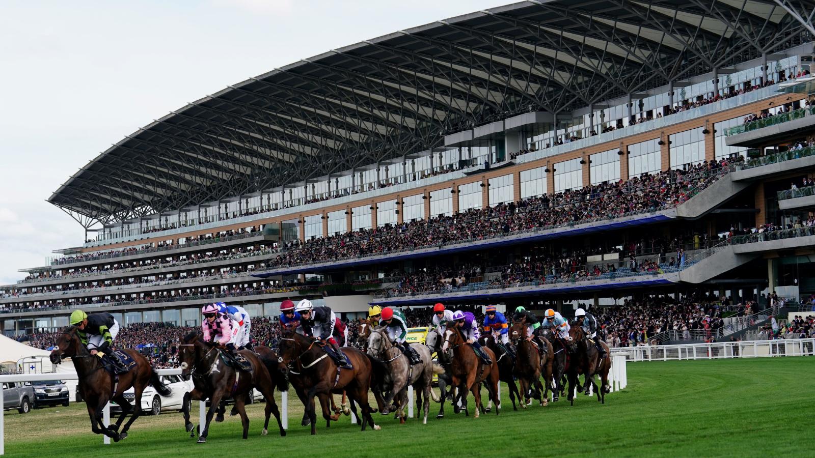 Ascot each-way tip: Rainbow Fire ready to show  true colours at a decent price