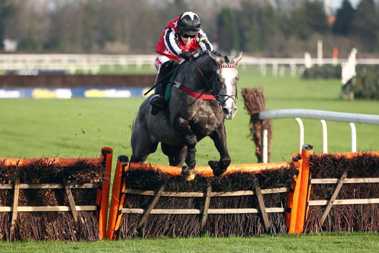 Straw Fan Jack heading straight to Cheltenham