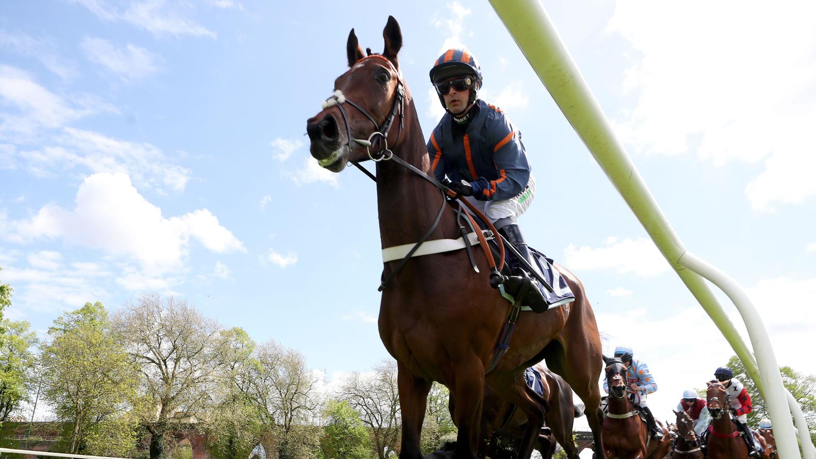 Theatre Glory ready to battle Epatante and Honeysuckle at Cheltenham