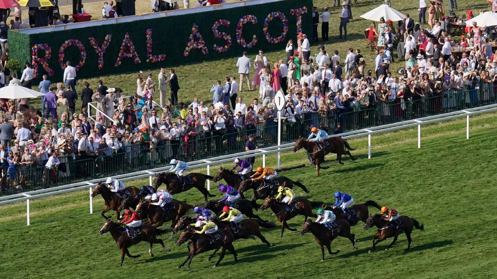 ROYAL Tipster - Do you need safe odds with high win