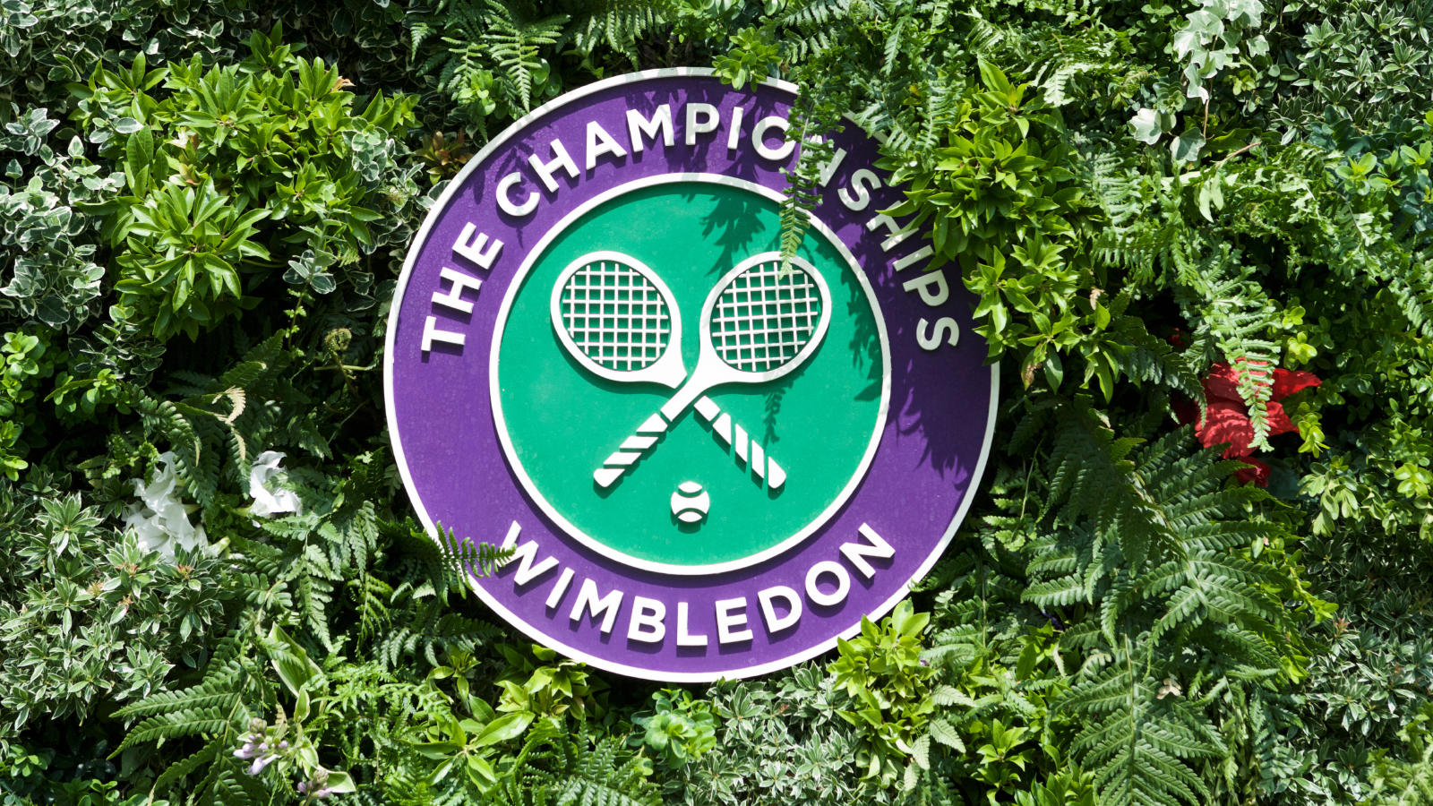 Wimbledon organisers brace for off-court issues