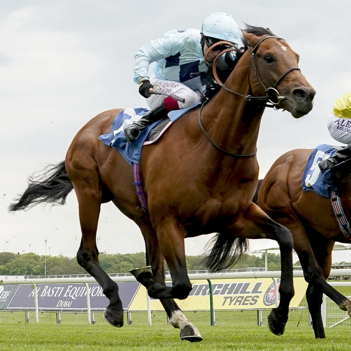 Starman expected to be favourite for Diamond Jubilee Stakes at Royal