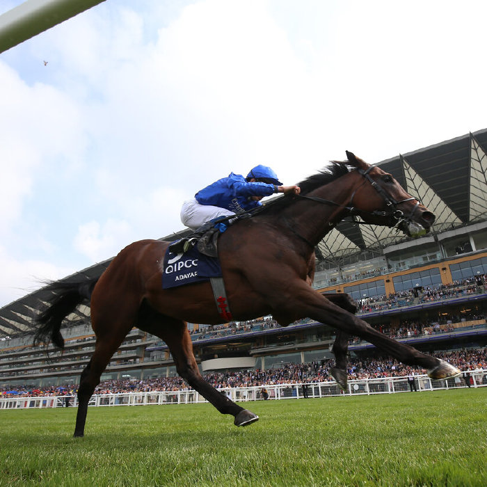 Saturday Group Roundup Awesome Adayar but Mohaafeth needs more