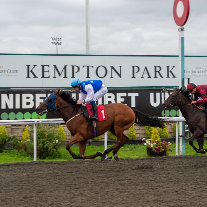 Kempton horse racing